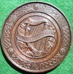 Ireland Irish Cork medal 1883