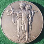 Great War Cenotaph medal 1918-1928
