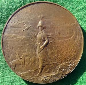 South African (Boer) War, Memorial medal 1900, bronze, by Emil Fuchs